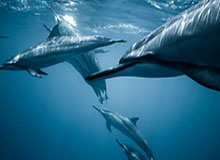 九游体育——引领全新体育娱乐体验